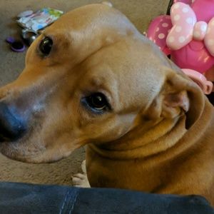 Meet your Posher, Patrick